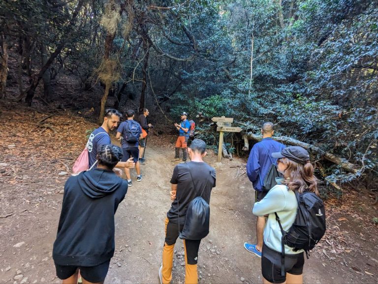 photo_2025-01-12 15.16.40